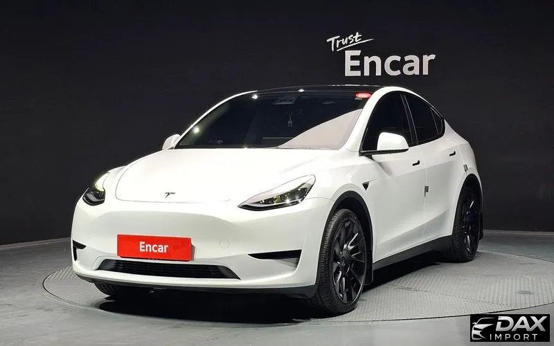 Tesla Model Y RWD