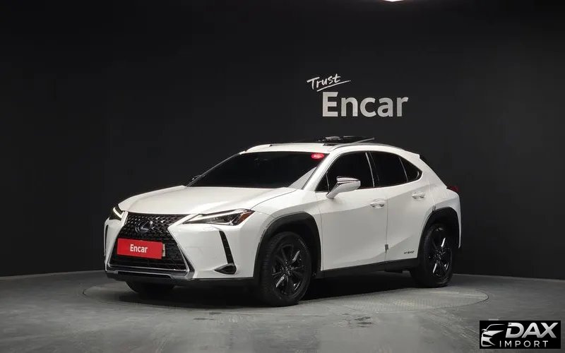 Lexus UX 2.0 2WD