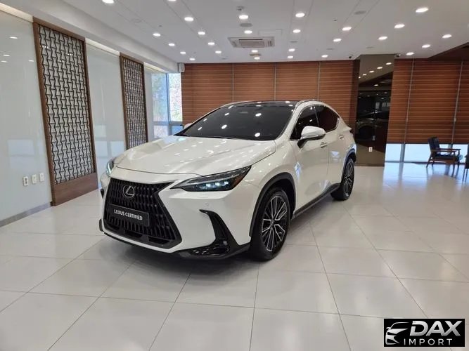 Lexus NX Luxury