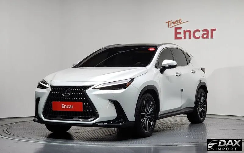 Lexus NX Luxury