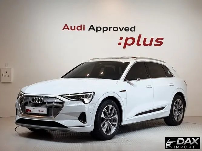 Audi e-tron 55 Quattro