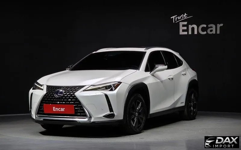 Lexus UX 2.0 2WD