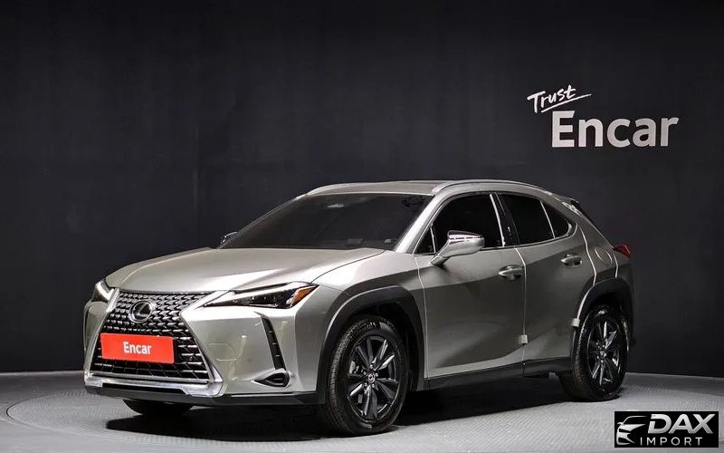 Lexus UX 2.0 2WD