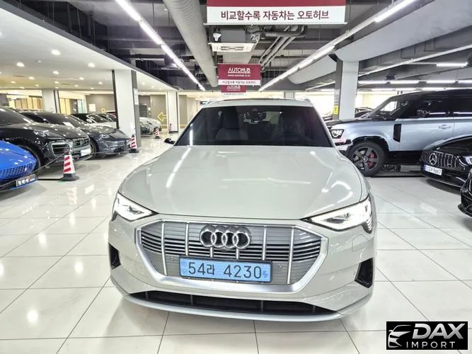 Audi e-tron 55 Quattro